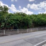 【土地】豊見城市長堂 画像3